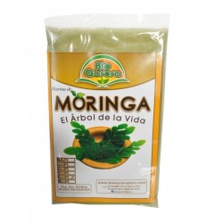 Moringa
