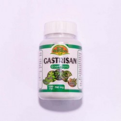 Gastrisan