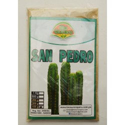 San Pedro