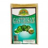 Gastrisan